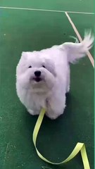 Who's this lovely girl?