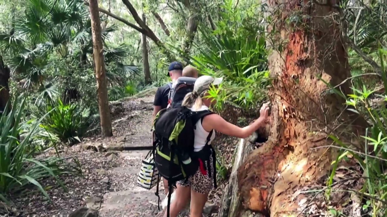 NSW coastal cabin communities keep surf lifesaving flags flying
