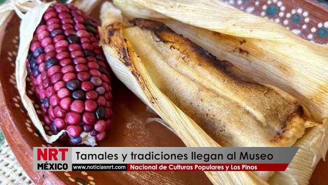 Tamales y tradiciones llegan al Museo Nacional de Culturas Populares y Los Pinos