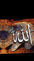 Allah #allah islamic status