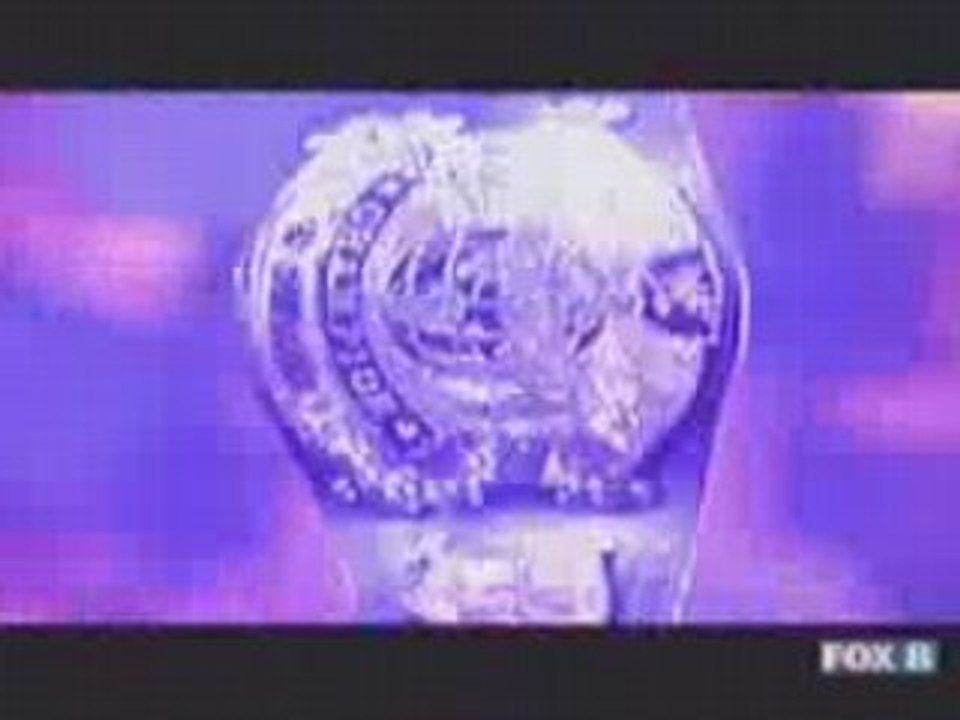 WWE Raw Undertaker vs Jeff Hardy FULL Ladder Match