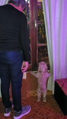 Like master, like servant😆