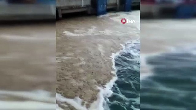 Mide bulandıran müsilaj geri döndü; balıkçılar denize açılamadı!