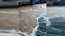 Mide bulandıran müsilaj geri döndü; balıkçılar denize açılamadı!