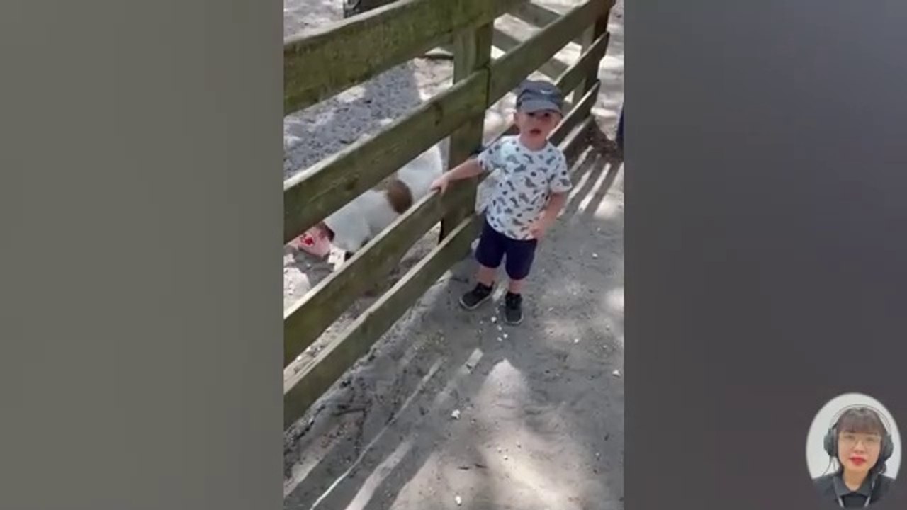 Baby and animal funny video #