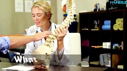 Fix Your Back Pain: Quick Exercises and Prevention Tricks