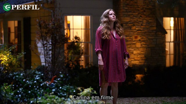 Brilho de Amy Adams, renovação de The White Lotus e estreia de Doces Magnólias: Novidades imperdíveis!