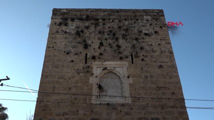 Binlerce yıllık sur ve burçlar 'yeşerdi'