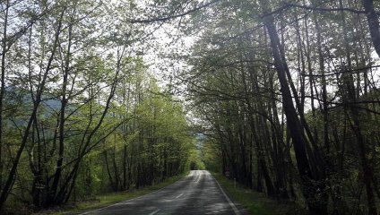 Türkülerle Türkiye - Düzce - Ada Yolu