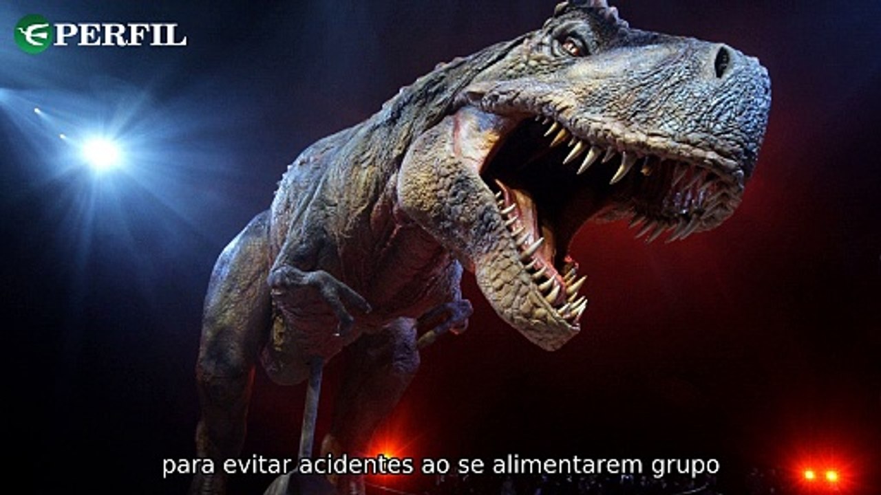 "T-rex, Príncipe Harry e Conclave: Segredos e Revelações que Você Não Pode Perder!"