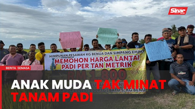 Isu dihadapi pesawah punca anak muda tidak minat tanam padi