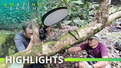 Amazing Earth: Exploring the wilds of Luzon!