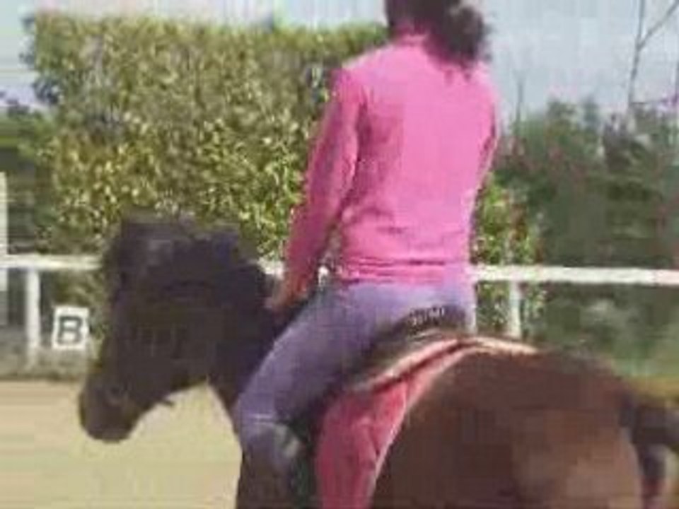 Dress galop 5 with colibri_0001