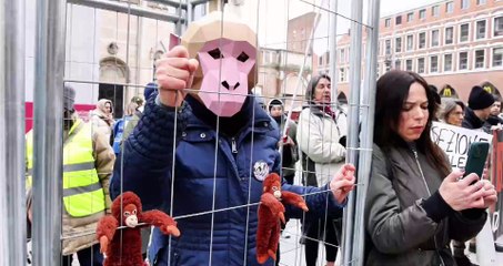 In gabbia per chiedere la liberazione dei macachi
