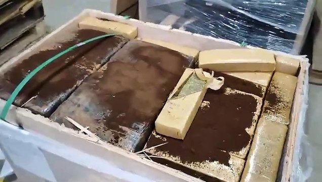 Polícia Civil apreende grande quantidade de maconha em transportadora de Cascavel