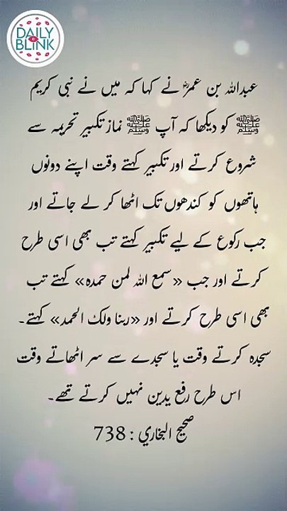 Daily Hadees | Hadees Sharif | Sahih Bukhari 738 || Daily Blink #shorts #youtubeshorts #viral