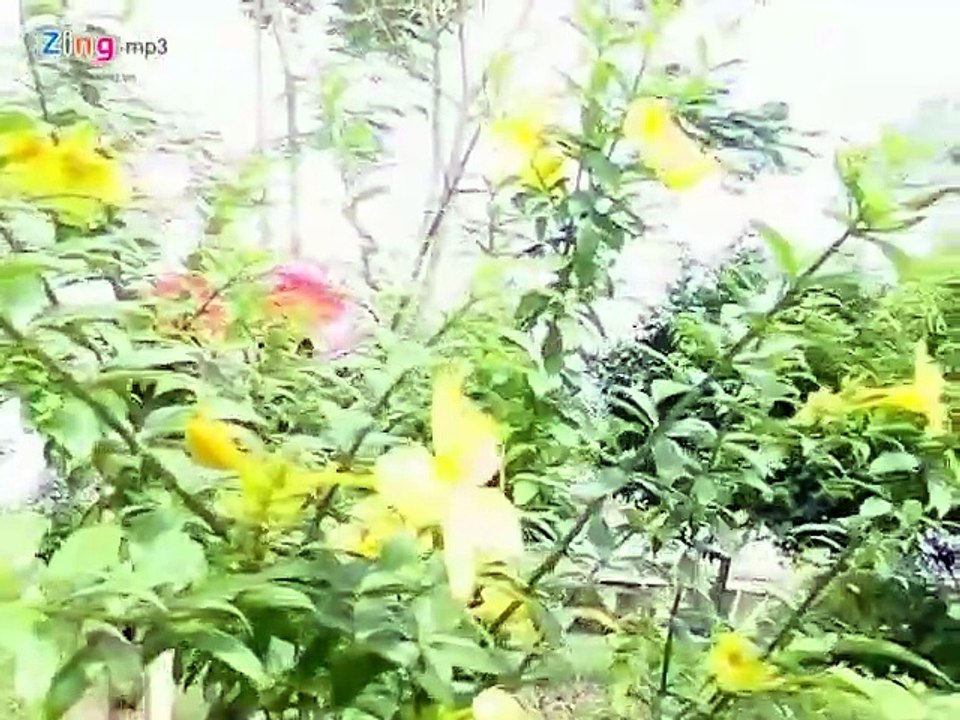 Dòng sông và nỗi nhớ - Ca sĩ : Xuân Mỹ
