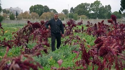 Dans le sud du Liban, la ville de Naqoura dévastée après le retrait israélien