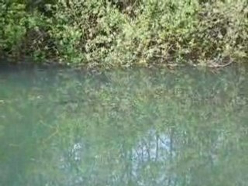 DSCN4281