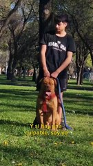 “Yo soy la culpable, le compré la moto”, dijo una mamá al perder a su hijo