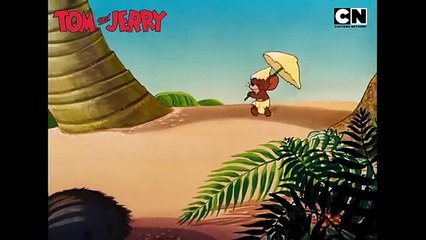 Tom And Jerry 1 Hour episode part 1