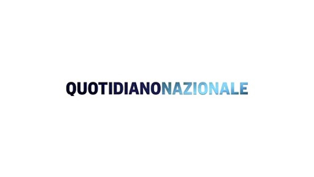 Sicilia, Guardia Costiera libera un cucciolo di delfino rimasto impigliato