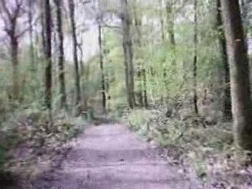 Rando VTT Ham sur heure