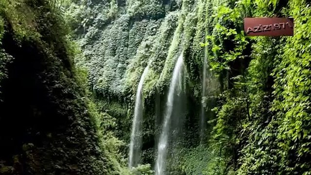 Acoustic Serenity: Relaxing Guitar Instrumental for Peaceful Moments