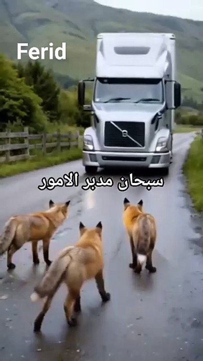 Hilarious Dance Fails You Have to See to Believe!
