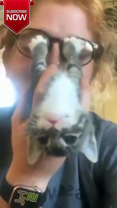 "Clumsy Cats Caught on Camera: Hilarious Fails You Can't Miss! #FunnyCats #CatFails"#shorts