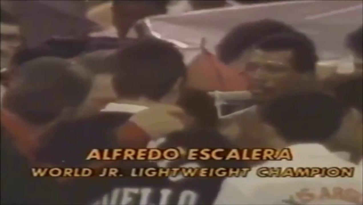 Alfredo Escalera - Highlights & Knockouts (haNZAgod)