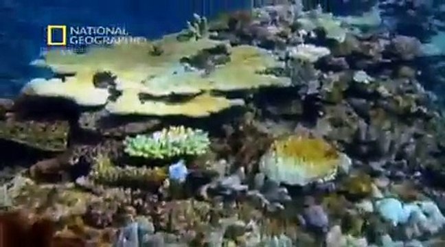 Descubre Palau: El Paraíso del Pacífico - Un Documental de Paraisos Terrenales