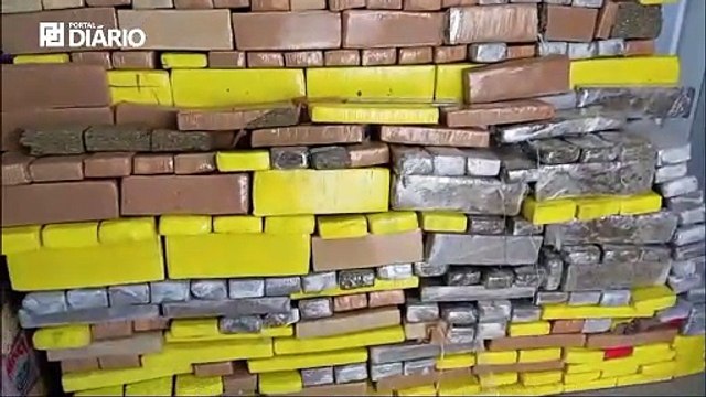 Na Paraíba, Polícia Civil apreende quase meia tonelada de maconha escondida em caminhão baú