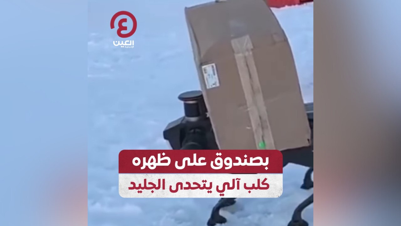 بصندوق على ظهره كلب آلي يتحدى الجليد
