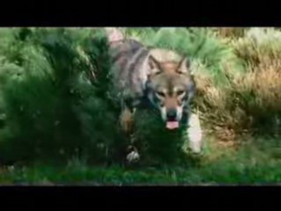 Pub nouvelle VALVERT 2008