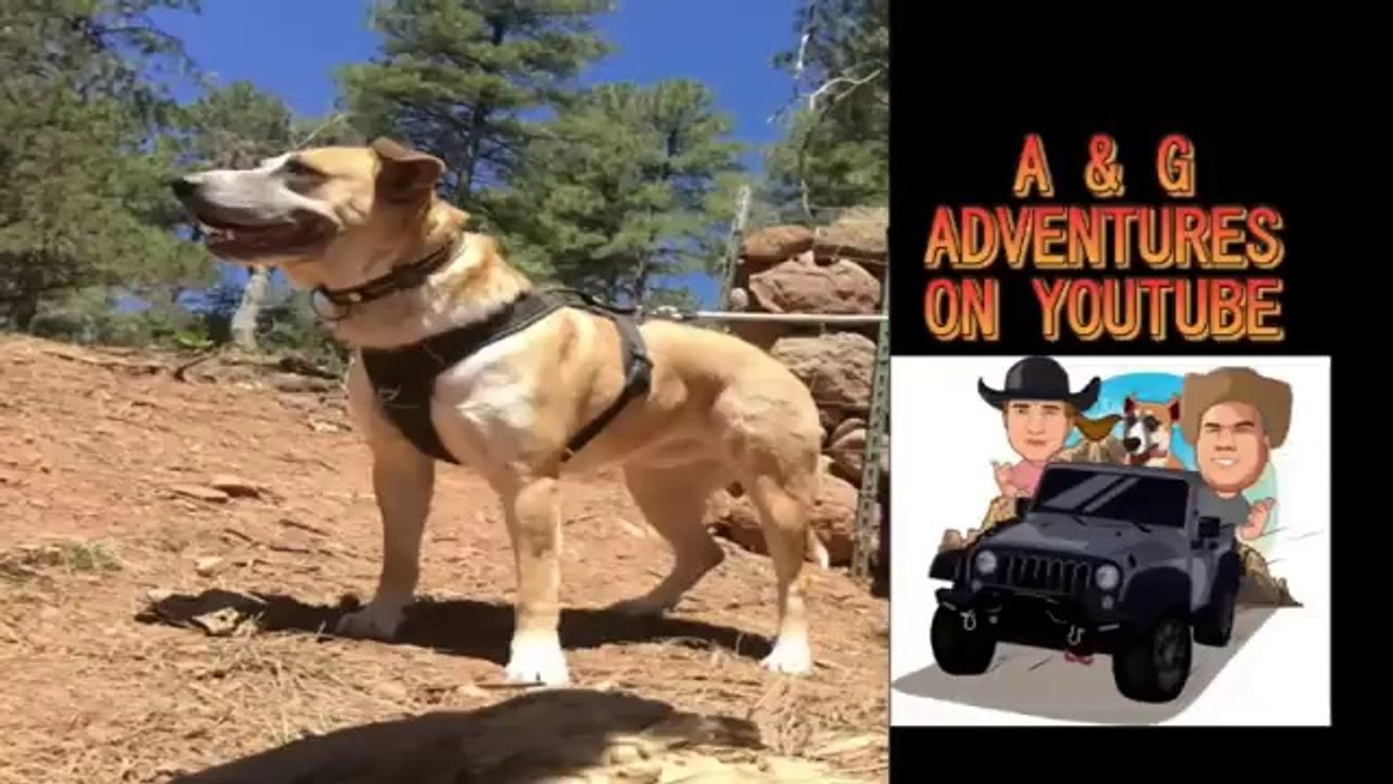 Discover Strawberry, Arizona_ Off-Road Journeys In Rugged Mountain Terrains! _ A&G Adventures