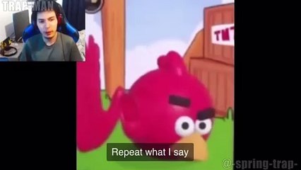 Angry bird brainrot idk