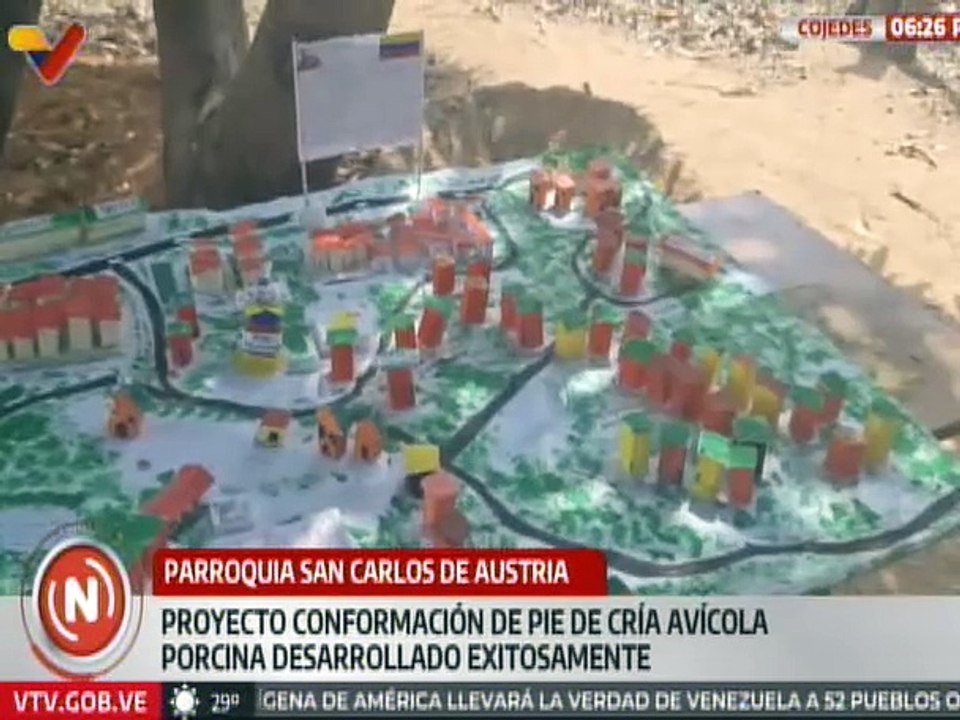 Cojedes | Proyecto electo por la comunidad de cría avícola porcina es desarrollado con éxito
