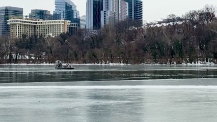 veado resgatado de Washington DC