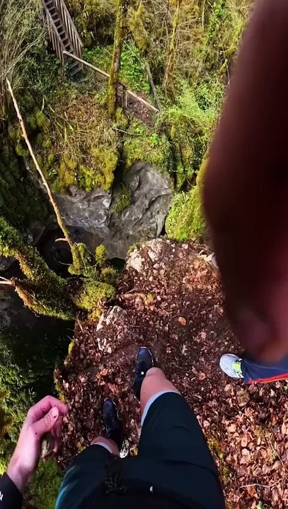 Wild Jump