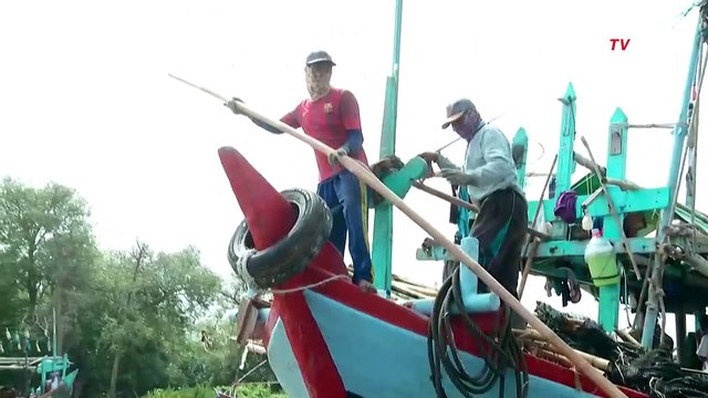 Walhi Dorong Presiden Prabowo Bentuk Satgas Pagar Laut: Tindak Pejabat yang Bermain dengan Pengusaha