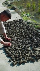 Artesanos tradicionales japoneses