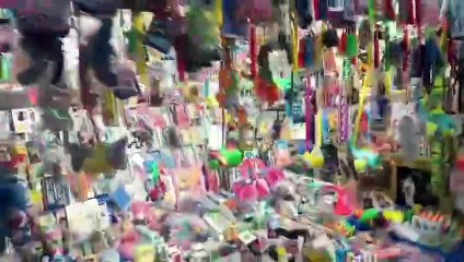 Mela  of Flowers show at kalyani.