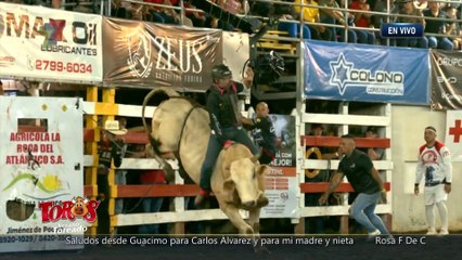 Monta El Don Ramón - 25 Enero 2025