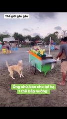 Order 1 cart of grilled corn