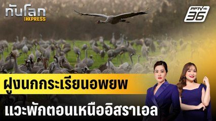 ฝูงนกกระเรียนอพยพแวะพักตอนเหนืออิสราเอล |ทันโลก EXPRESS | 26 ม.ค. 68
