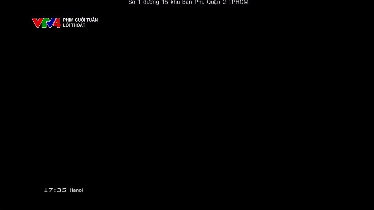 #TẾT2025 PTT-3| VTV4 ident Tết 2025 (1)