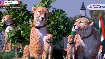 70 सालों बाद चीतों की ऐतिहासिक वापसी पर दिखी मध्य प्रदेश की झांकी
