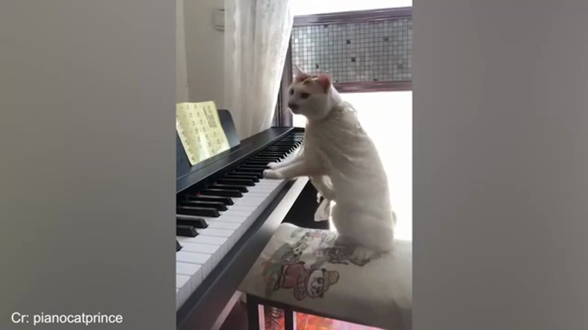 The Funniest Animal Videos 2025 | Funny Dogs and Cats are here to Break your HEART | Funny Animal Mo