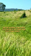 Lagu Nostalgia - Musik Pop Indonesia